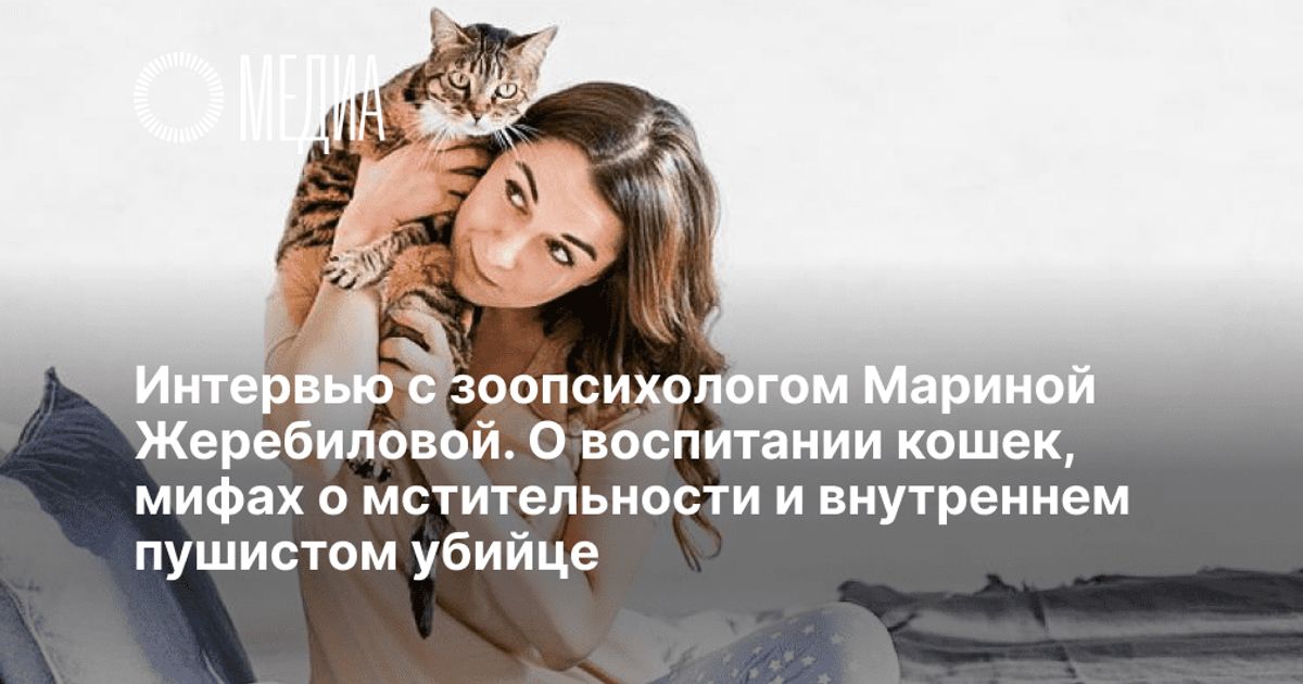 Зоопсихолог для кошек